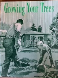 Growing Your Trees, by Wilber H. Youngman