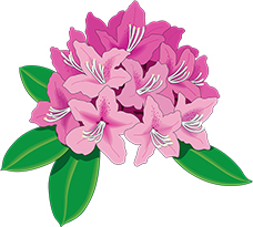 The THC rhododendron logo