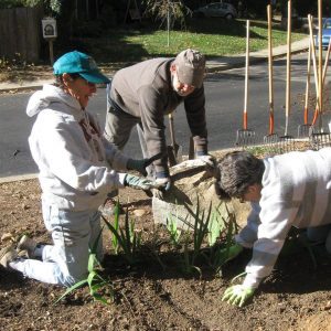 Centennial Garden Planting