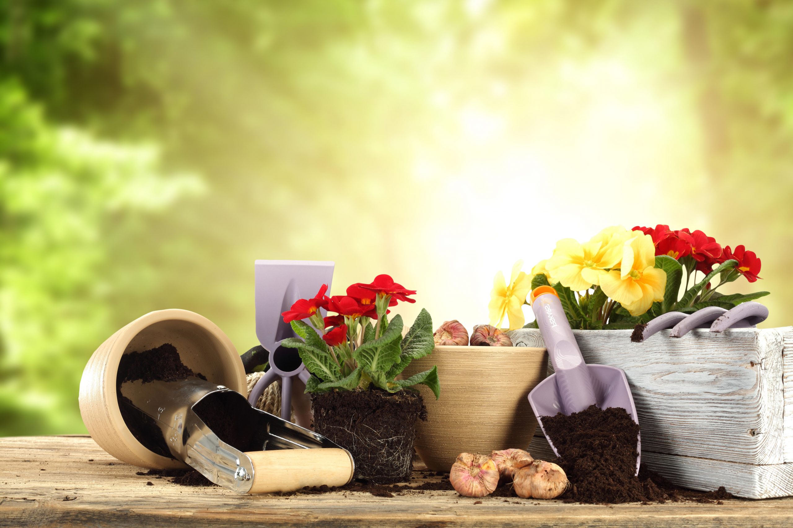 Flower pots, soil, tools and plants