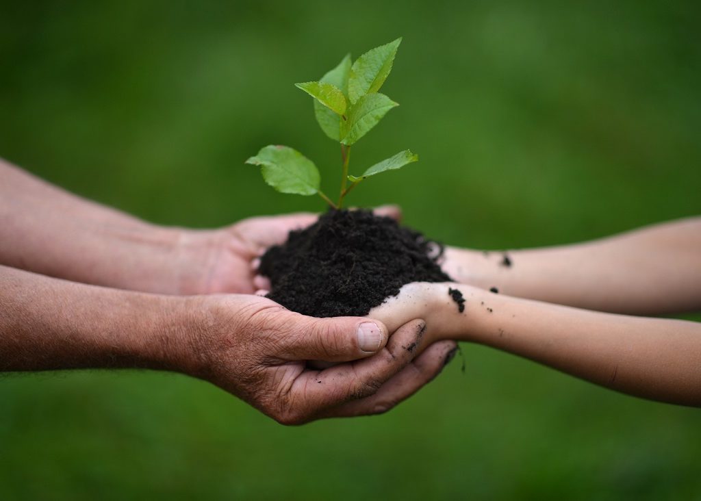 Granddaughter and grandmother clasping a handful of soil with a seedling growing in it.