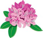 The THC rhododendron logo