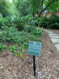 Centennial Garden entrance