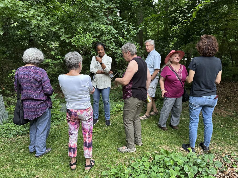At an open garden event, people listening to the owner explain how the stormwater pond works to slow runoff from the roof.